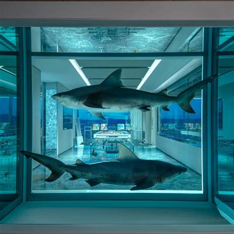 who has stayed at the empathy suite|Damien Hirst’s $100,000.
